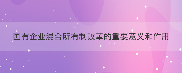 國有企業(yè)混合所有制改革的重要意義和作用