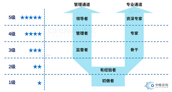 職業發展通道理論