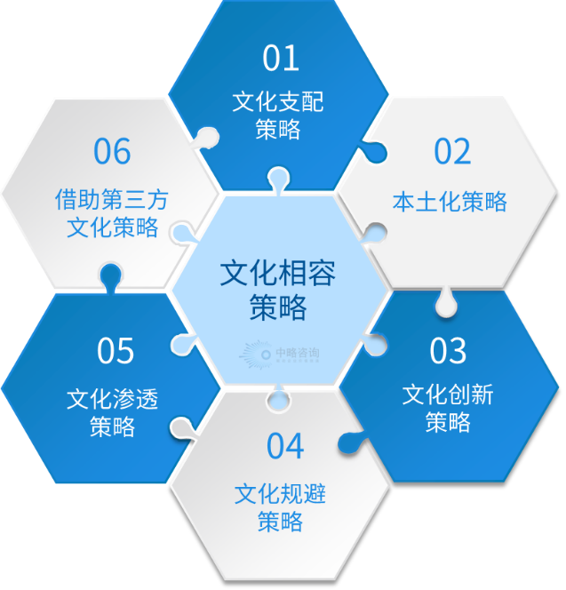 中略咨詢的“跨文化管理戰略框架”