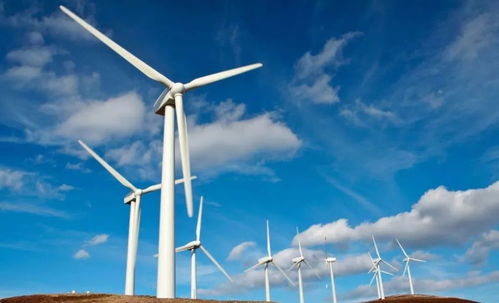 風力發電的危害有多大 歐美都紛紛叫停,為啥我國依舊大力建造